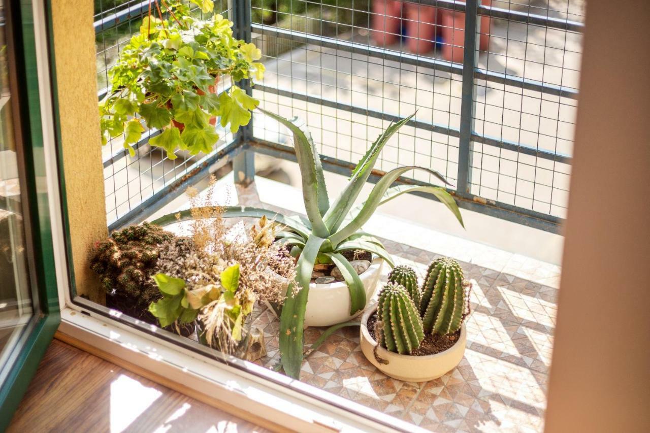 #stayhere - Spacious & Bright 1bdr Shopping District Huoneisto Vilna